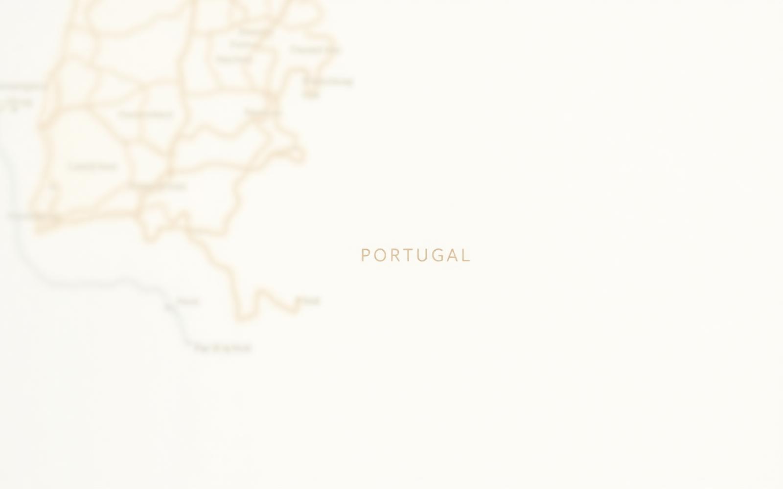 Blurred preview map